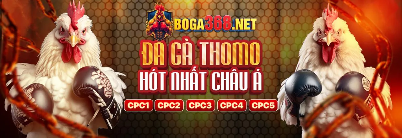 Cách chọn nền tảng cá cược thể thao uy tín và an toàn